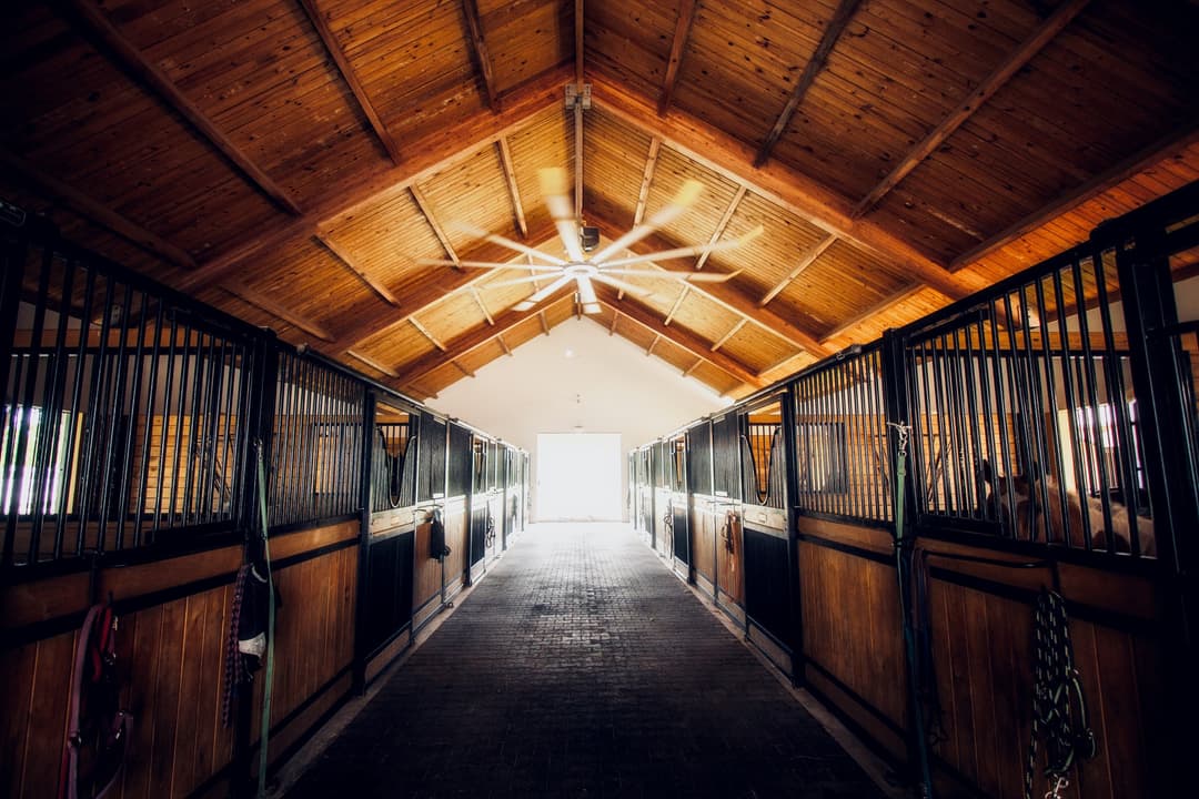 BarnBrief — AI barn management for show, lesson and boarding barns